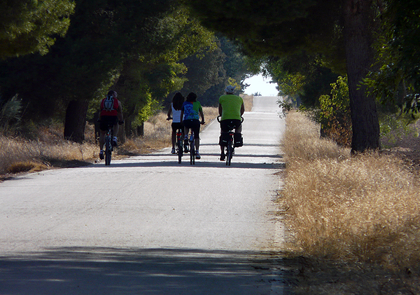 Ciclistas en la carretera