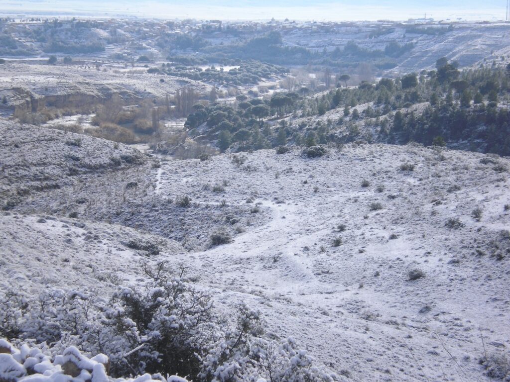 Campo con nieve