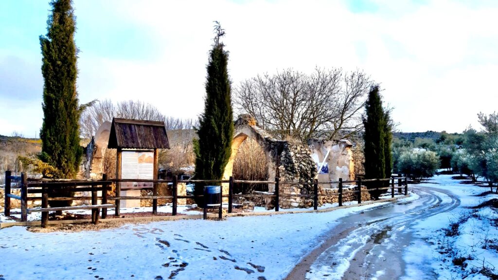 Nieve y pinos